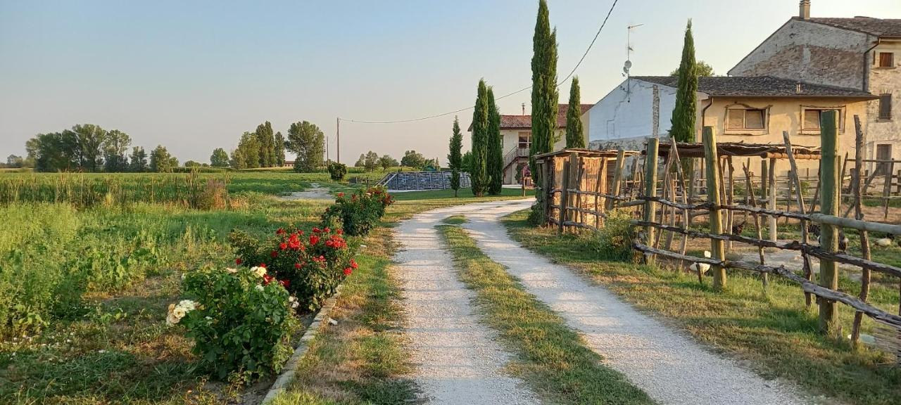 San Pietro B&B App 5 Castel Goffredo Екстериор снимка